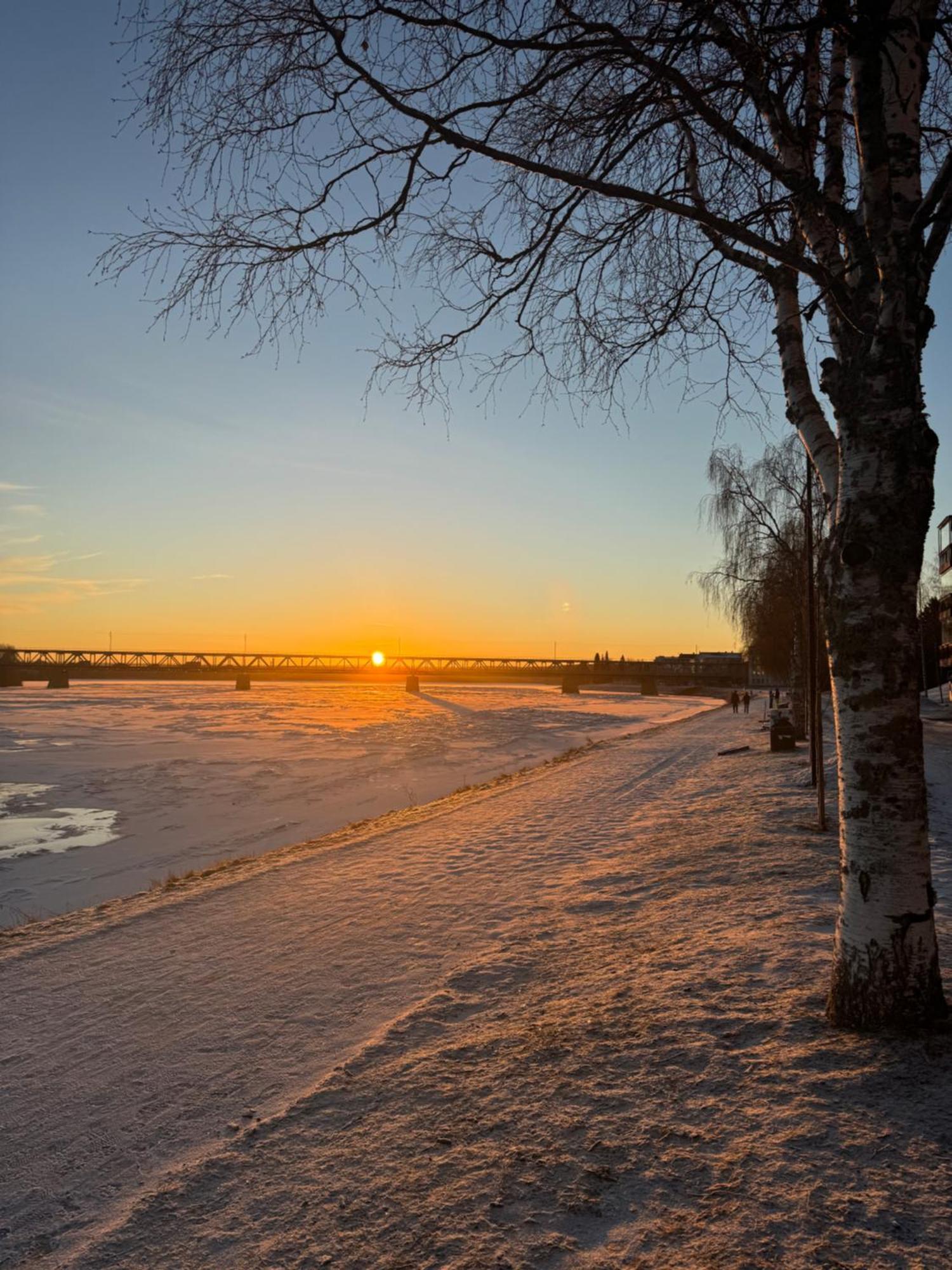 Northern Lights River Rovaniemi Bagian luar foto